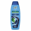 Picture of Shampoo Palmolive 350 ml