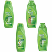 Picture of Shampoo Wash & Go 675 ml